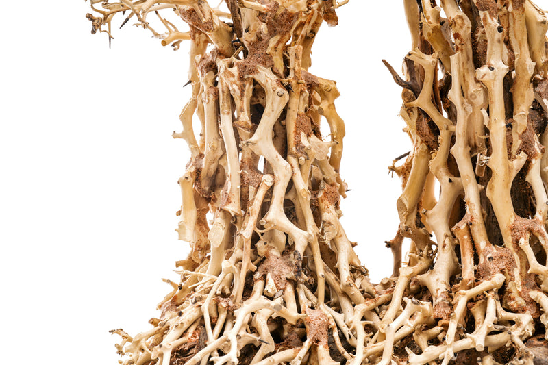 UNSHARDSCAPE UNS Bonsai 005 driftwood piece with intricate natural texture, ideal for bonsai or artistic wood displays