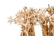 UNS Bonsai 005 driftwood piece by UNSHARDSCAPE, natural wood sculpture with intricate textures and organic shape for bonsai displays