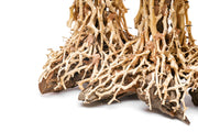 UNSHARDSCAPE UNS Bonsai 005 driftwood piece with intricate natural wood textures and organic shape for bonsai or decor.