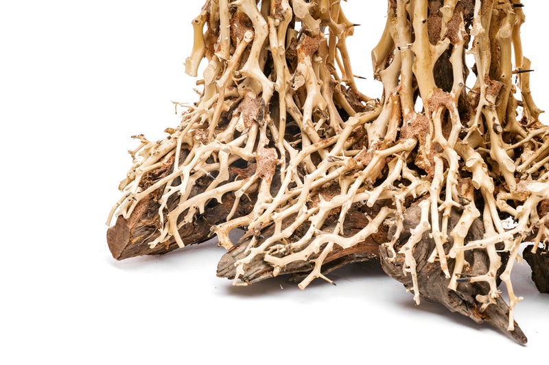 UNSHARDSCAPE UNS Bonsai 005 driftwood piece with intricate natural wood textures and organic shape for bonsai or decor.