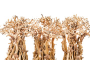 UNSHARDSCAPE UNS Bonsai 005 driftwood piece with natural, twisted wood texture for bonsai or decorative display