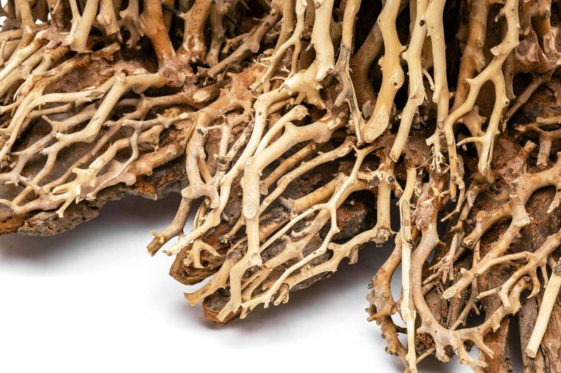 UNSHARDSCAPE UNS Bonsai 005 driftwood piece with intricate natural wood textures and organic shape.