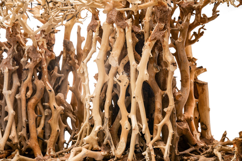 UNSHARDSCAPE UNS Bonsai 005 driftwood piece with intricate natural grain and organic shape for bonsai or decorative displays