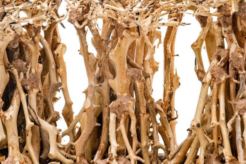 UNSHARDSCAPE UNS Bonsai 005 driftwood piece with natural, textured wood surface for bonsai or decorative display.