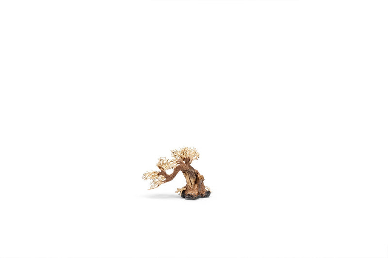 UNSHARDSCAPE UNS Bonsai 006 driftwood piece, natural wood sculpture with intricate grain and organic shape for bonsai or decor.
