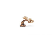 UNSHARDSCAPE UNS Bonsai 006 driftwood piece with intricate natural wood textures and organic shape for bonsai or decorative use