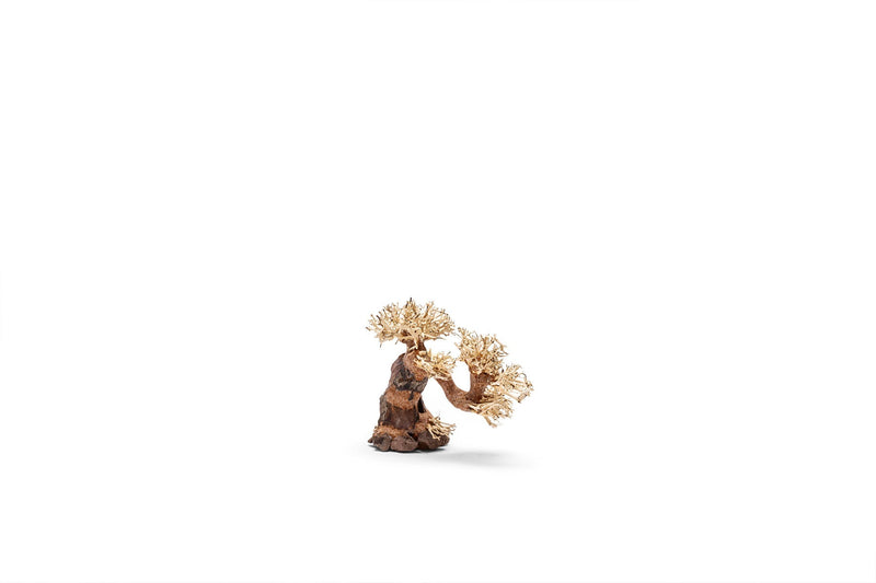 UNSHARDSCAPE UNS Bonsai 006 driftwood piece with intricate natural wood grain and organic shape for decorative bonsai styling