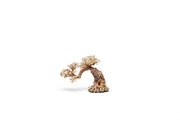 UNSHARDSCAPE UNS Bonsai 006 driftwood piece with intricate natural wood texture and organic shape for bonsai or decor.