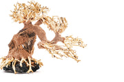 UNS Bonsai 006 driftwood sculpture by UNSHARDSCAPE, showcasing intricate natural wood details on a neutral background.
