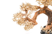 UNSHARDSCAPE UNS Bonsai 006 driftwood piece with natural, textured wood for bonsai or decorative display.