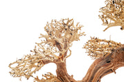 UNSHARDSCAPE UNS Bonsai 006 driftwood piece with intricate natural wood textures and organic shape for bonsai or decor.