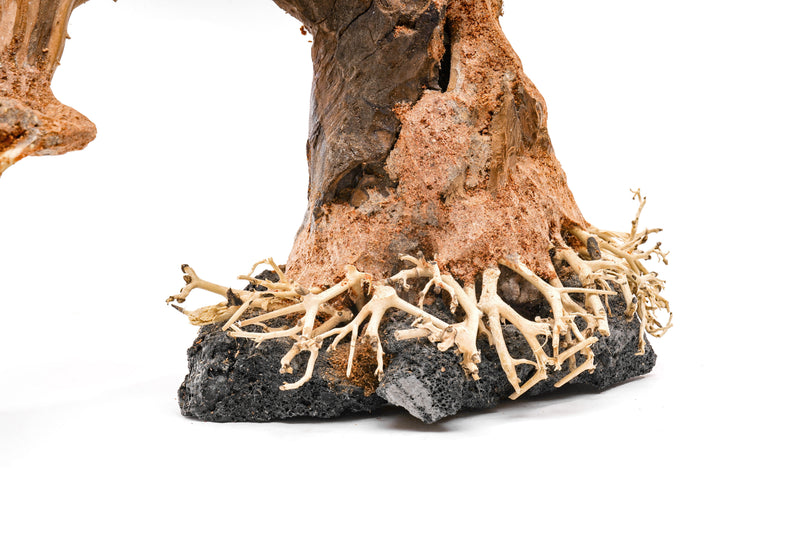 UNSHARDSCAPE UNS Bonsai 006 driftwood piece with intricate natural wood textures and organic shape for bonsai or decor.