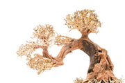UNSHARDSCAPE UNS Bonsai 006 driftwood piece with intricate natural wood texture for bonsai or decorative display.