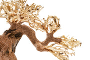 UNSHARDSCAPE UNS Bonsai 006 driftwood piece with intricate natural wood textures and organic shape for bonsai or decor display