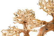 UNSHARDSCAPE UNS Bonsai 006 driftwood piece with natural, intricate wood grain and organic shape for bonsai or decorative display