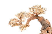 UNSHARDSCAPE UNS Bonsai 006 driftwood piece with natural, intricate wood grain and organic shape for bonsai or decorative display
