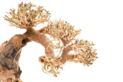 UNSHARDSCAPE UNS Bonsai 006 driftwood piece, natural wood sculpture with intricate textures and organic shape, suitable for bonsai decor