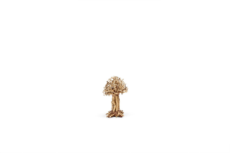UNS Bonsai 007 Driftwood - Buce Plant