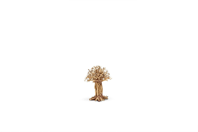 UNS Bonsai 007 Driftwood - Buce Plant