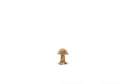UNS Bonsai 007 Driftwood - Buce Plant