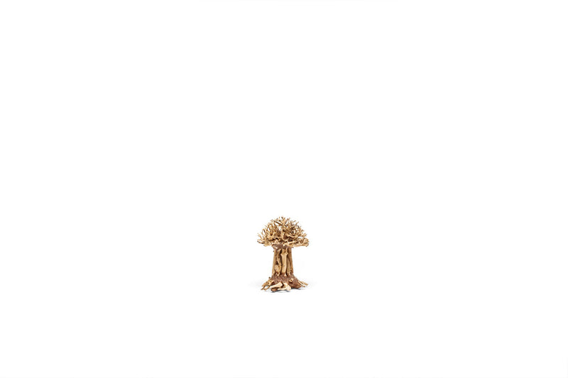 UNS Bonsai 007 Driftwood - Buce Plant