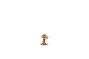 UNS Bonsai 007 Driftwood - Buce Plant