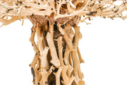 UNS Bonsai 007 Driftwood - Buce Plant