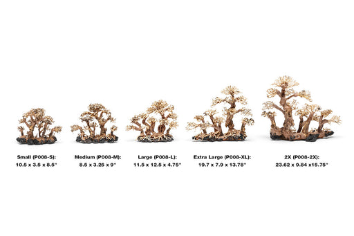 UNS Bonsai 008