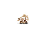 UNSHARDSCAPE UNS Bonsai 008 driftwood sculpture with intricate, natural wood details on a plain background.