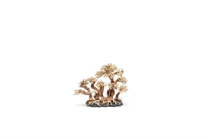 UNSHARDSCAPE UNS Bonsai 008 driftwood sculpture with intricate, natural wood details on a plain background.