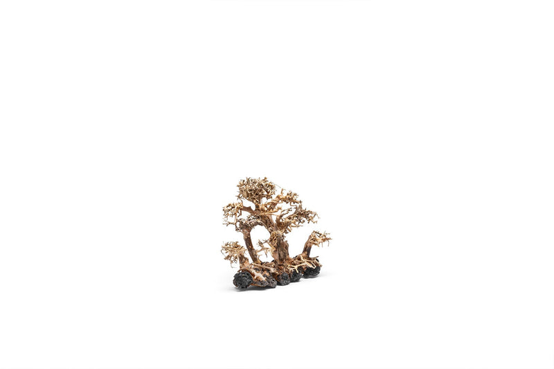 UNSHARDSCAPE UNS Bonsai 008 driftwood piece with intricate natural textures and organic shape for decorative bonsai displays