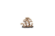 UNSHARDSCAPE UNS Bonsai 008 driftwood piece with intricate natural textures and organic shape for bonsai or decorative displays