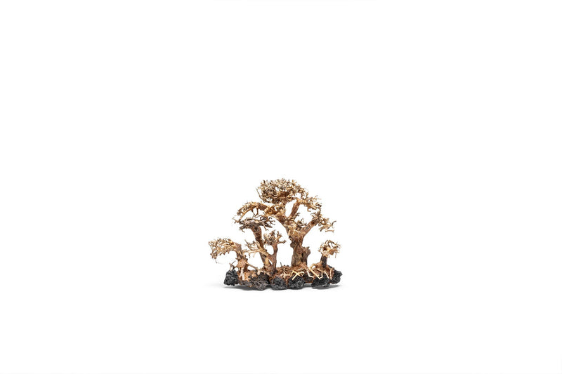 UNSHARDSCAPE UNS Bonsai 008 driftwood piece with intricate natural textures and organic shape for bonsai or decorative displays