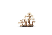 UNSHARDSCAPE UNS Bonsai 008 driftwood piece with intricate natural wood textures and organic shape for bonsai or decorative display