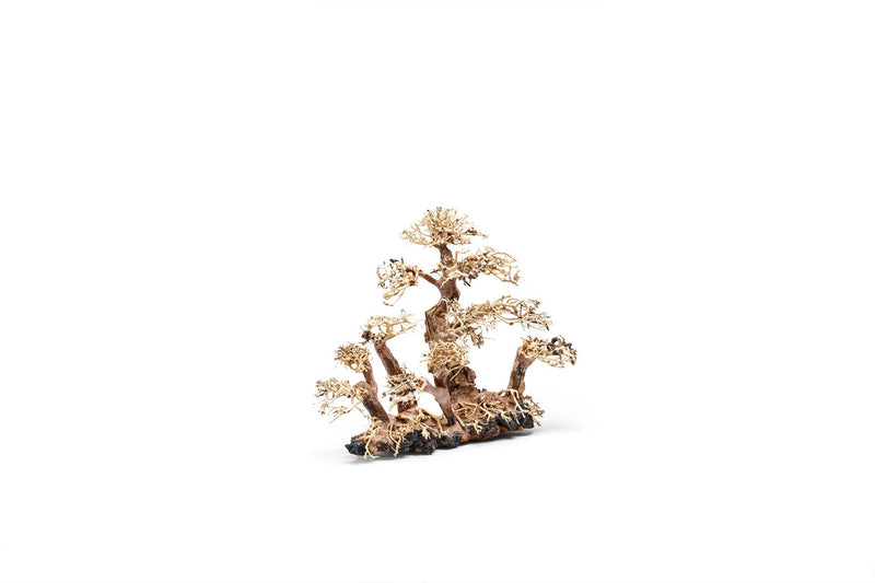 UNSHARDSCAPE UNS Bonsai 008 driftwood piece, natural wood sculpture with intricate textures and organic shapes for bonsai decor