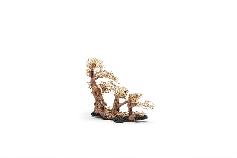UNSHARDSCAPE UNS Bonsai 008 driftwood sculpture with intricate natural wood details on a plain background