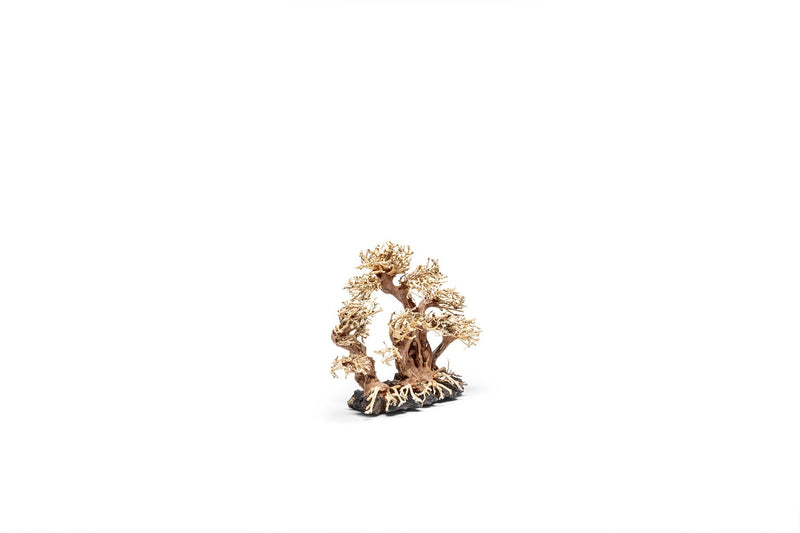 UNSHARDSCAPE UNS Bonsai 008 driftwood piece with intricate natural shapes, suitable for bonsai or decorative displays