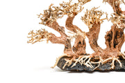 UNSHARDSCAPE UNS Bonsai 008 driftwood piece with intricate natural wood textures on a neutral background