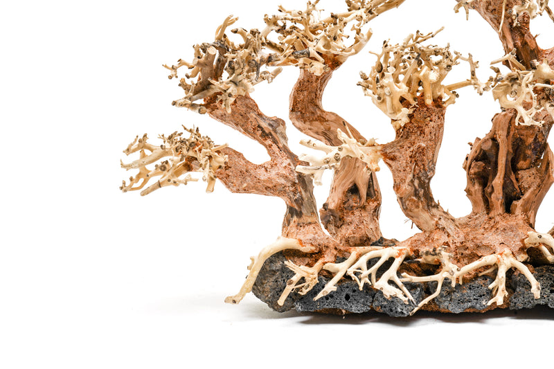 UNSHARDSCAPE UNS Bonsai 008 driftwood piece with intricate natural wood textures on a neutral background