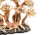 UNSHARDSCAPE UNS Bonsai 008 driftwood piece with natural textured wood for bonsai or decorative displays