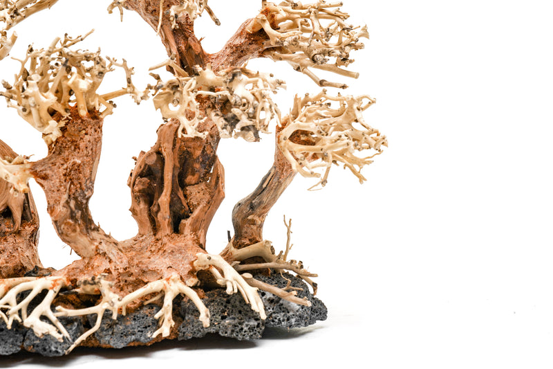 UNSHARDSCAPE UNS Bonsai 008 driftwood piece with natural textured wood for bonsai or decorative displays
