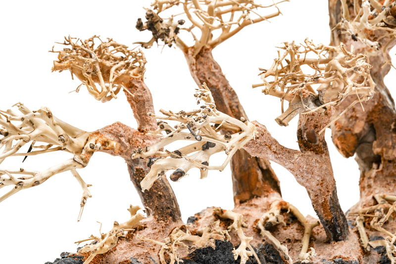 UNSHARDSCAPE UNS Bonsai 008 driftwood piece with intricate natural textures and organic shape for bonsai or decorative displays