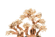 UNSHARDSCAPE UNS Bonsai 008 driftwood piece with natural, textured wood and organic shape for bonsai or decorative display