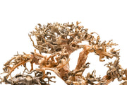 UNSHARDSCAPE UNS Bonsai 008 driftwood piece with intricate natural grain and organic shape for bonsai or decorative use
