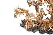 UNSHARDSCAPE UNS Bonsai 008 driftwood piece with twisted, natural wood texture ideal for bonsai or decorative displays