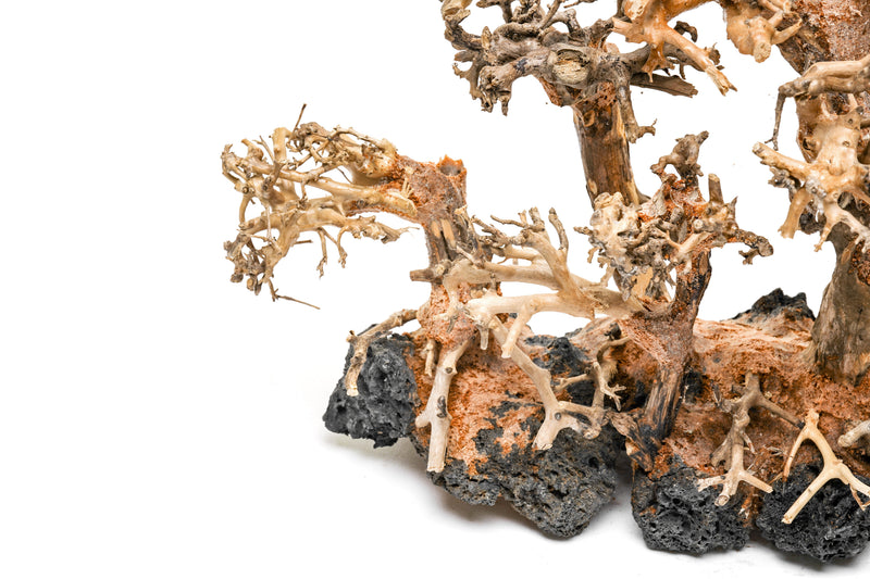 UNSHARDSCAPE UNS Bonsai 008 driftwood piece with twisted, natural wood texture ideal for bonsai or decorative displays