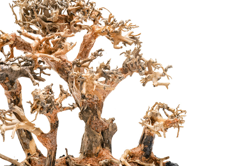 UNSHARDSCAPE UNS Bonsai 008 driftwood sculpture with intricate, natural wood details for bonsai or decorative displays