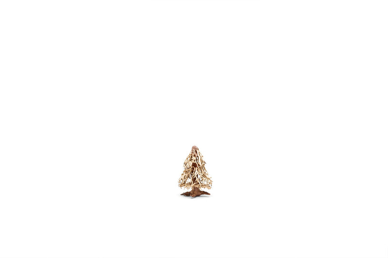 UNSHARDSCAPE UNS Bonsai 009 driftwood piece with natural textured wood for bonsai or decorative displays