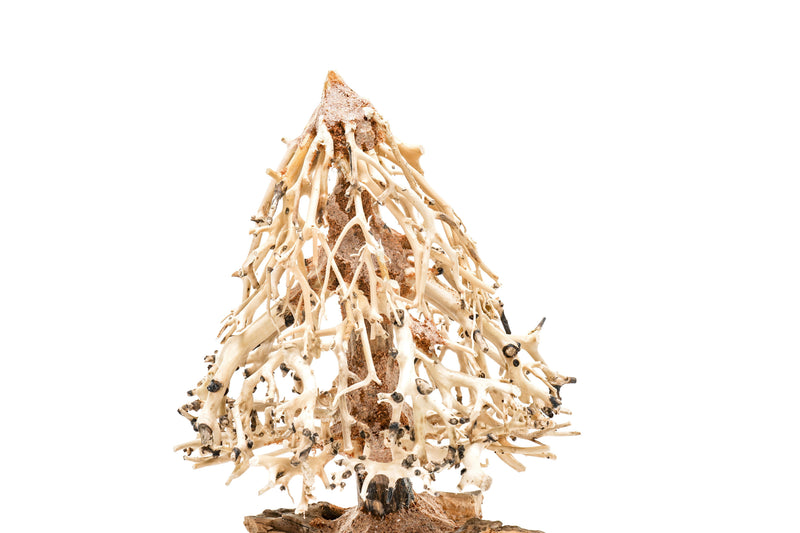 UNSHARDSCAPE UNS Bonsai 009 driftwood piece with natural, weathered texture for decorative bonsai or artistic display.