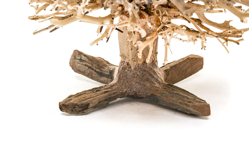 UNSHARDSCAPE UNS Bonsai 009 driftwood piece with natural, textured wood for bonsai or decorative use